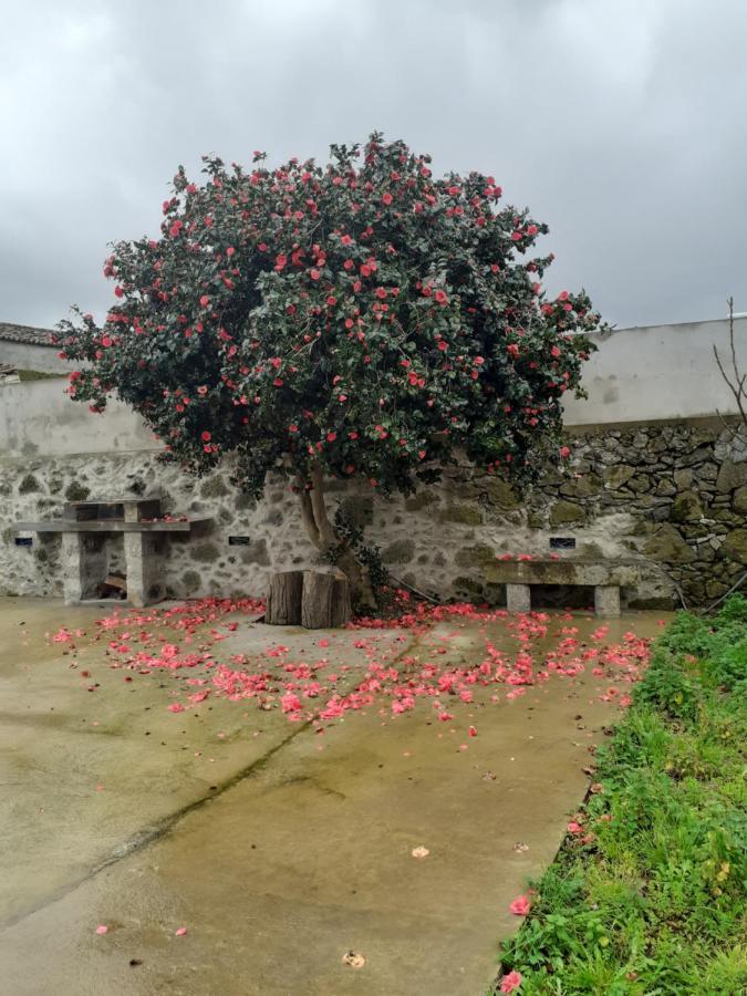 Basaltic Guest House Achadinha Exterior photo